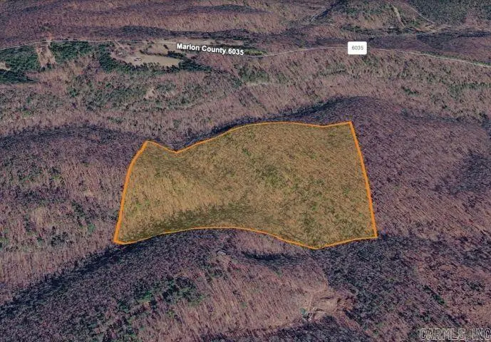 001-00526-000 Mc 6035, Yellville, AR 72687 - #2