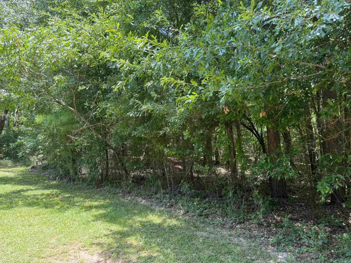 TBD Snider Road, Kirby, AR 71950 - #1