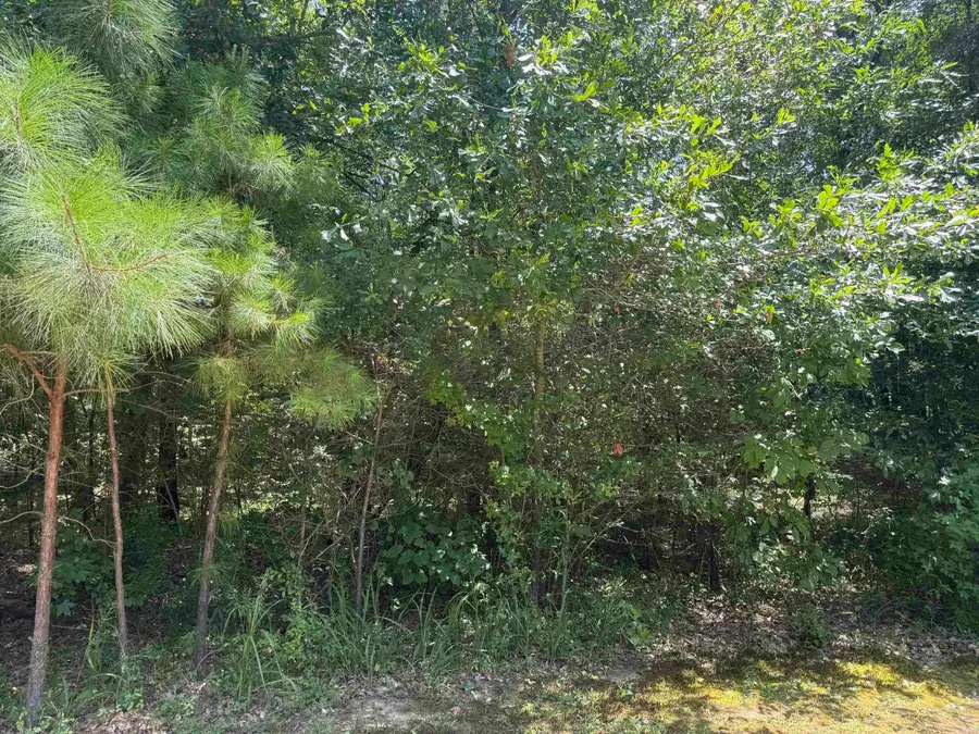 TBD Snider Road, Kirby, AR 71950 - #2