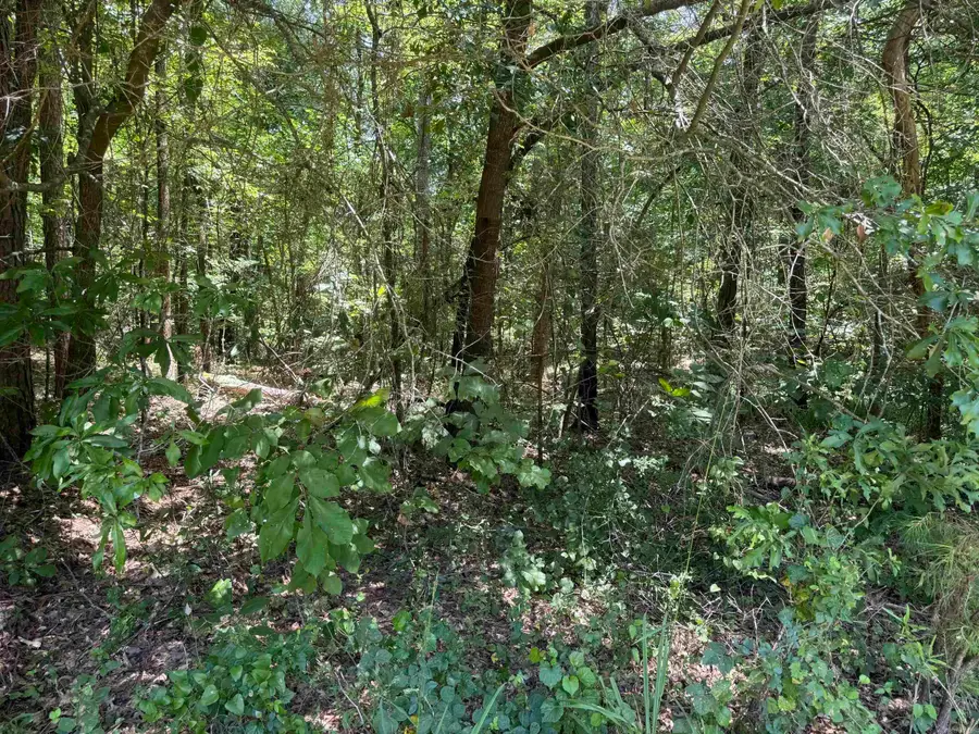 TBD Snider Road, Kirby, AR 71950 - #3