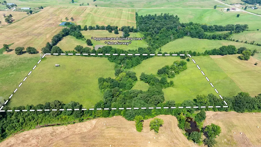 000 Floral Road, Fairview, AR 72501 - #2