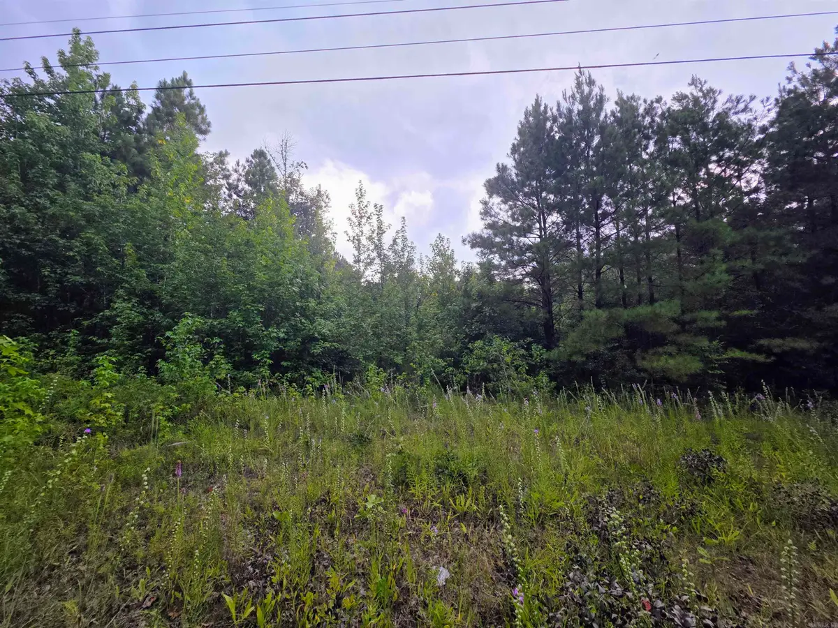 4003 Hwy 54, Pine Bluff, AR 71603 - #1