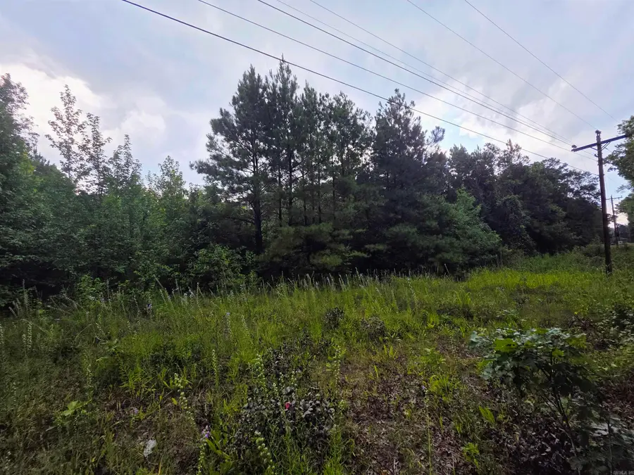 4003 Hwy 54, Pine Bluff, AR 71603 - #2