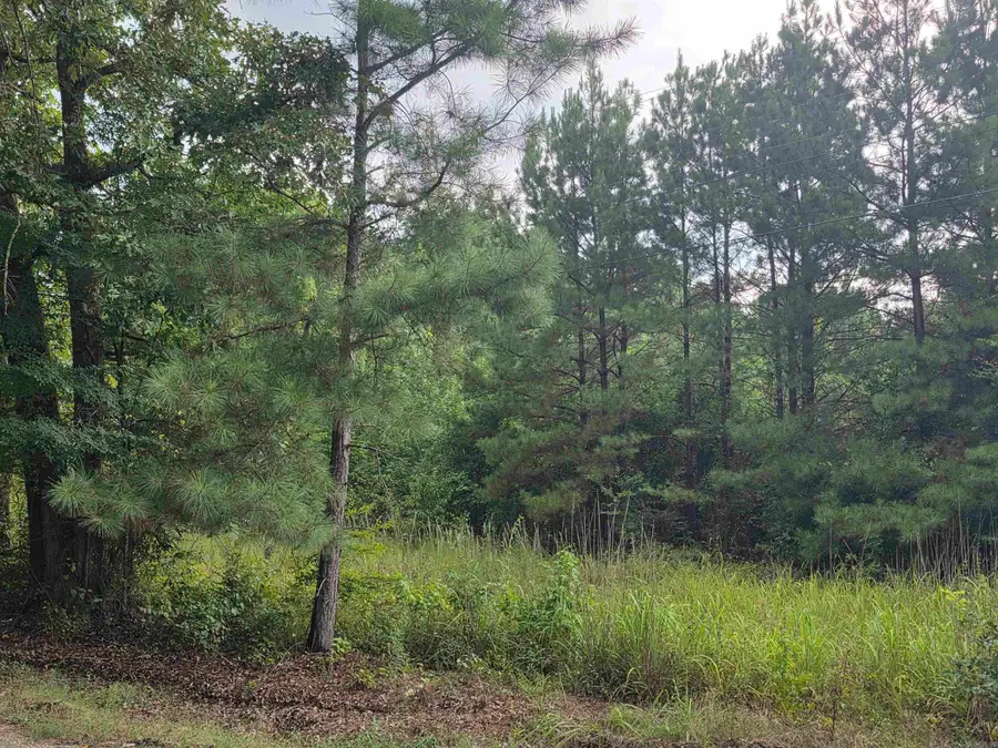 4003 Hwy 54, Pine Bluff, AR 71603 - #3
