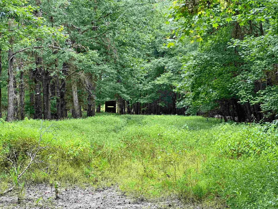 000 Hwy 98 South Highway, Magnolia, AR 71753 - #2
