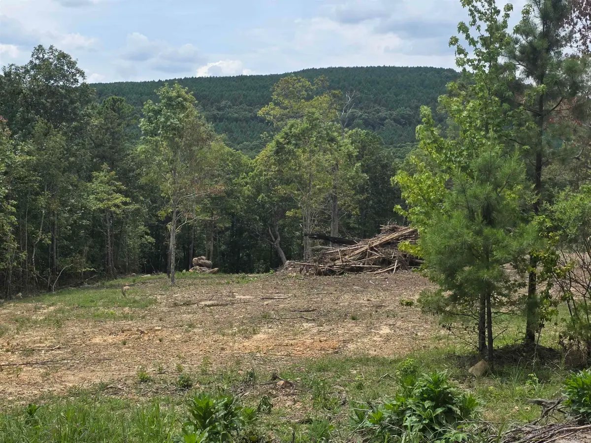 Lot 9 Scenic View, Edgemont, AR 72044 - #1