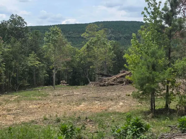Lot 9 Scenic View, Edgemont, AR 72044
