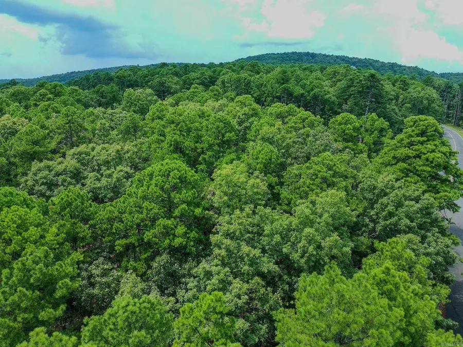 2 Moncada Way, Hot Springs Village, AR 71909 - #2