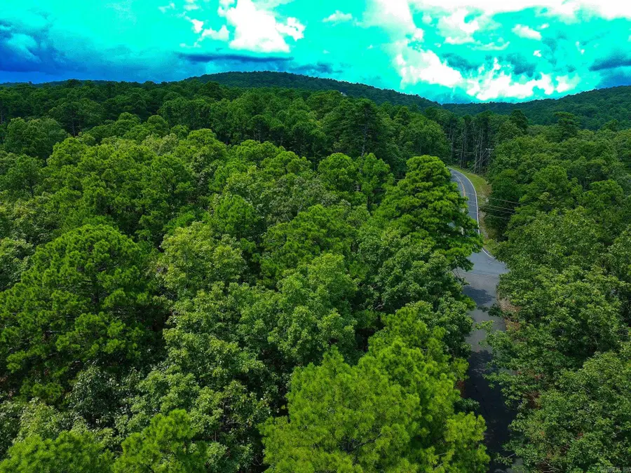 2 Moncada Way, Hot Springs Village, AR 71909 - #3