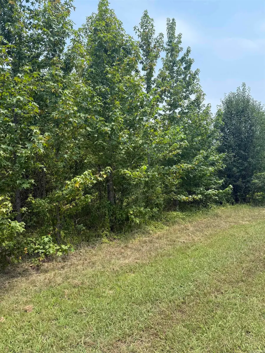 Lot 13 Gamble Lane, Carlisle, AR 72024 - #2