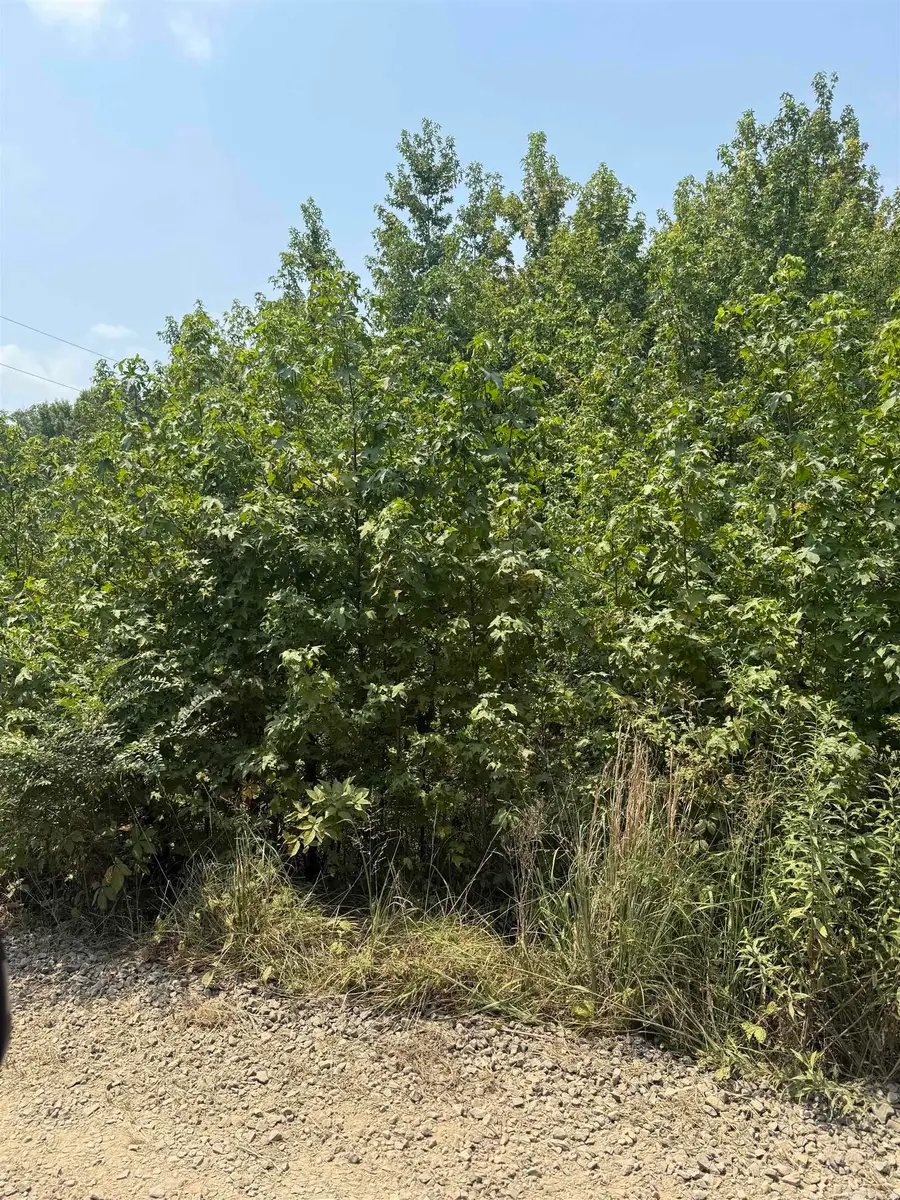 Lot 10 Gamble Lane, Carlisle, AR 72024 - #2