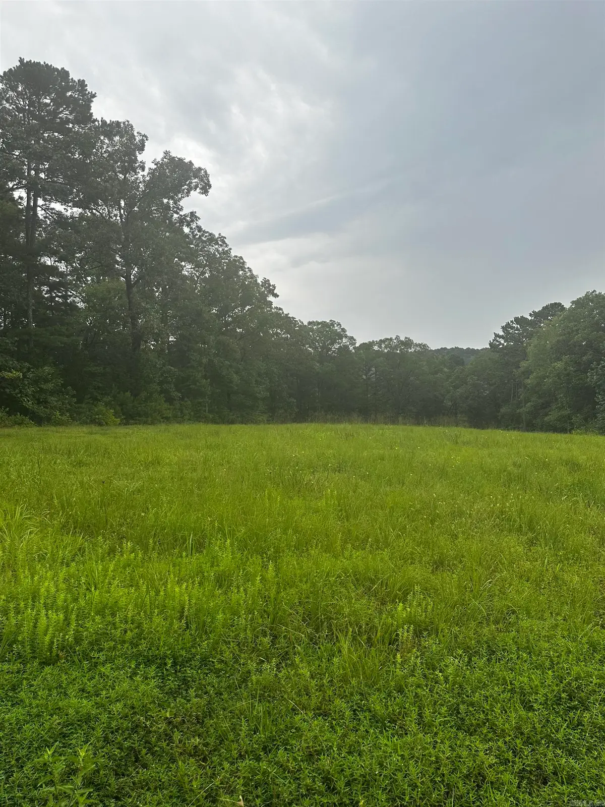 Lot 70 Cobalt Bay Drive, Shirley, AR 72153 - #1