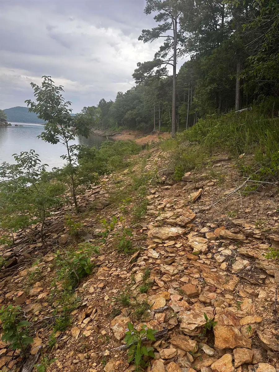 Lot 70 Cobalt Bay Drive, Shirley, AR 72153 - #2