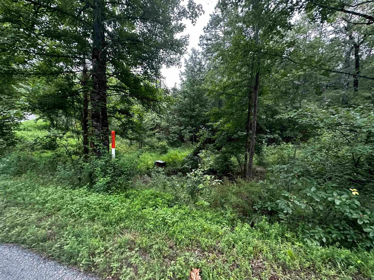 Lot 48 Cobalt Bay Drive, Shirley, AR 72153 - #1