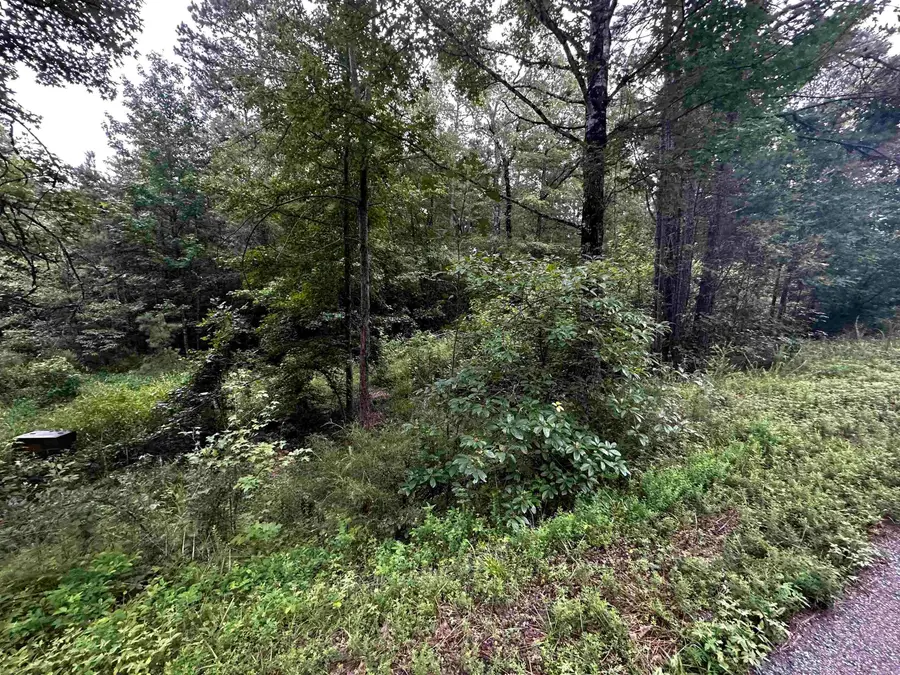 Lot 48 Cobalt Bay Drive, Shirley, AR 72153 - #2
