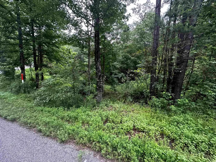 Lot 48 Cobalt Bay Drive, Shirley, AR 72153 - #3