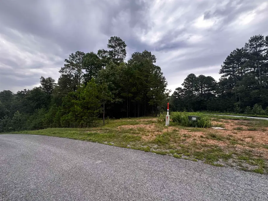 Lot 57 Cobalt Bay Drive, Shirley, AR 72153 - #3