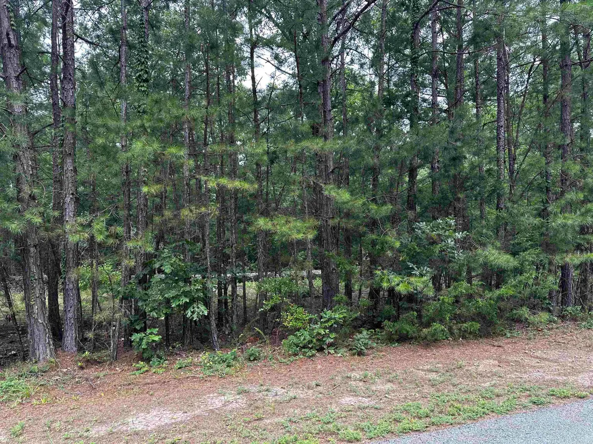 Lot 87 Cobalt Bay Drive, Shirley, AR 72153 - #1