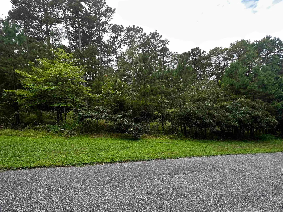 Lot 90 Cobalt Bay Drive, Shirley, AR 72153 - #1