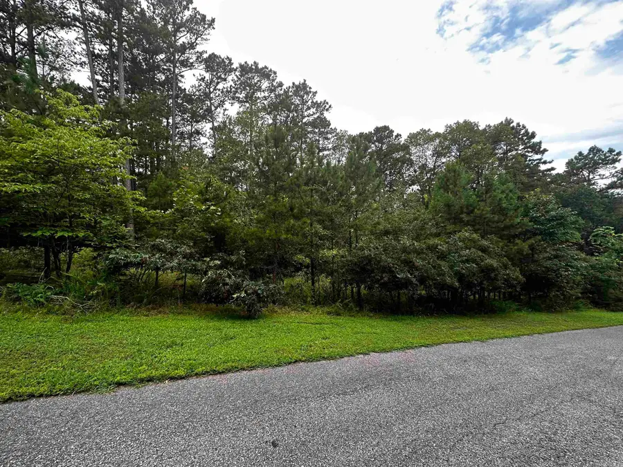 Lot 90 Cobalt Bay Drive, Shirley, AR 72153 - #2