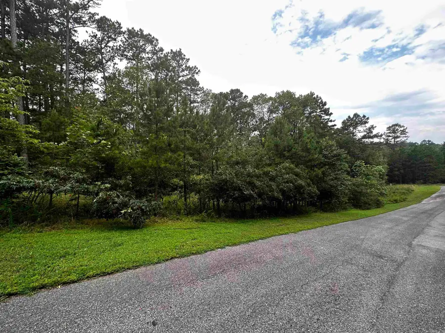 Lot 90 Cobalt Bay Drive, Shirley, AR 72153 - #3