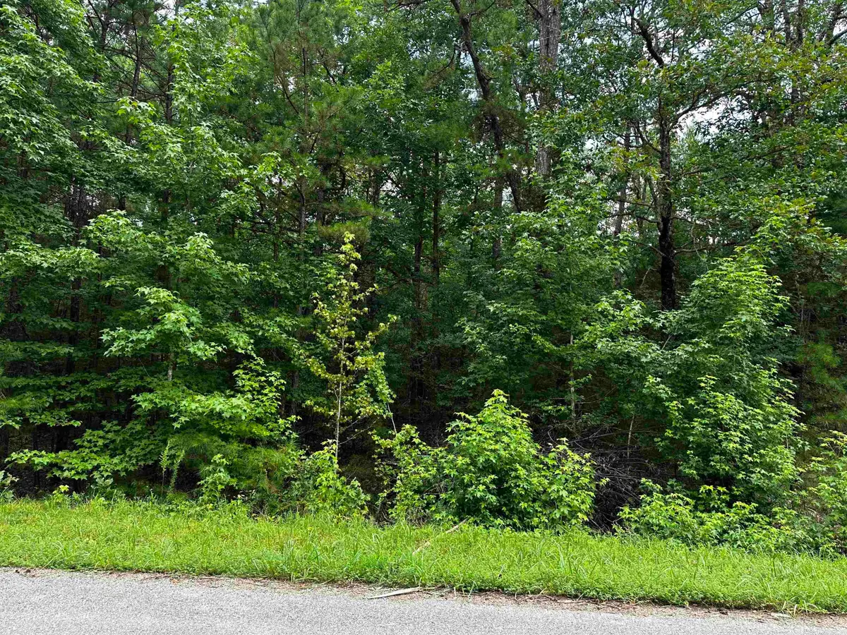 Lot 106 Cobalt Bay Drive, Shirley, AR 72153 - #1