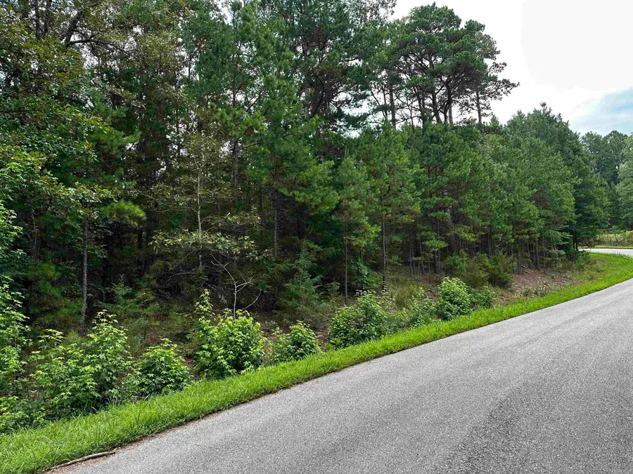 Lot 106 Cobalt Bay Drive, Shirley, AR 72153 - #2