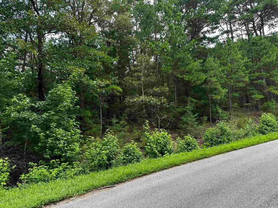 Lot 106 Cobalt Bay Drive, Shirley, AR 72153 - #3