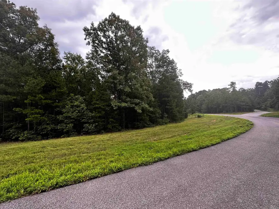 Lot 64 Cobalt Bay Drive, Shirley, AR 72153 - #3