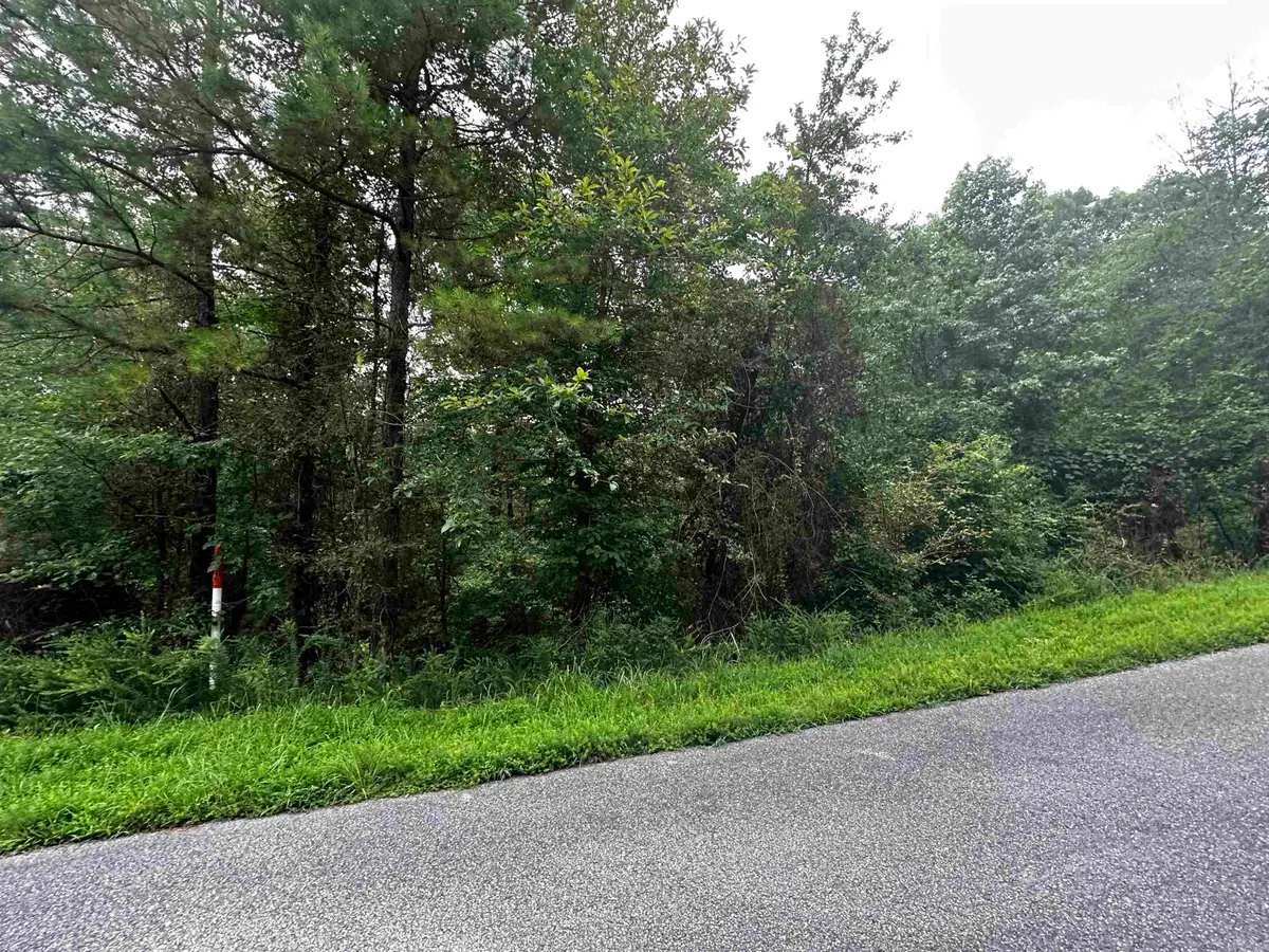 Lot 66 Cobalt Bay Drive, Shirley, AR 72153 - #1
