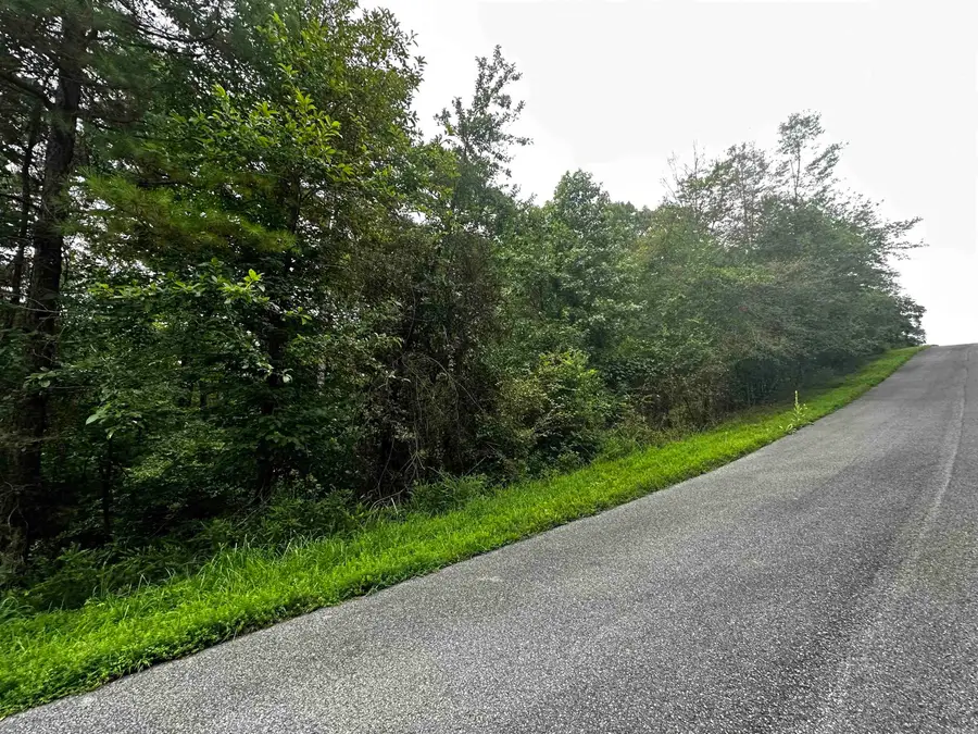 Lot 66 Cobalt Bay Drive, Shirley, AR 72153 - #2