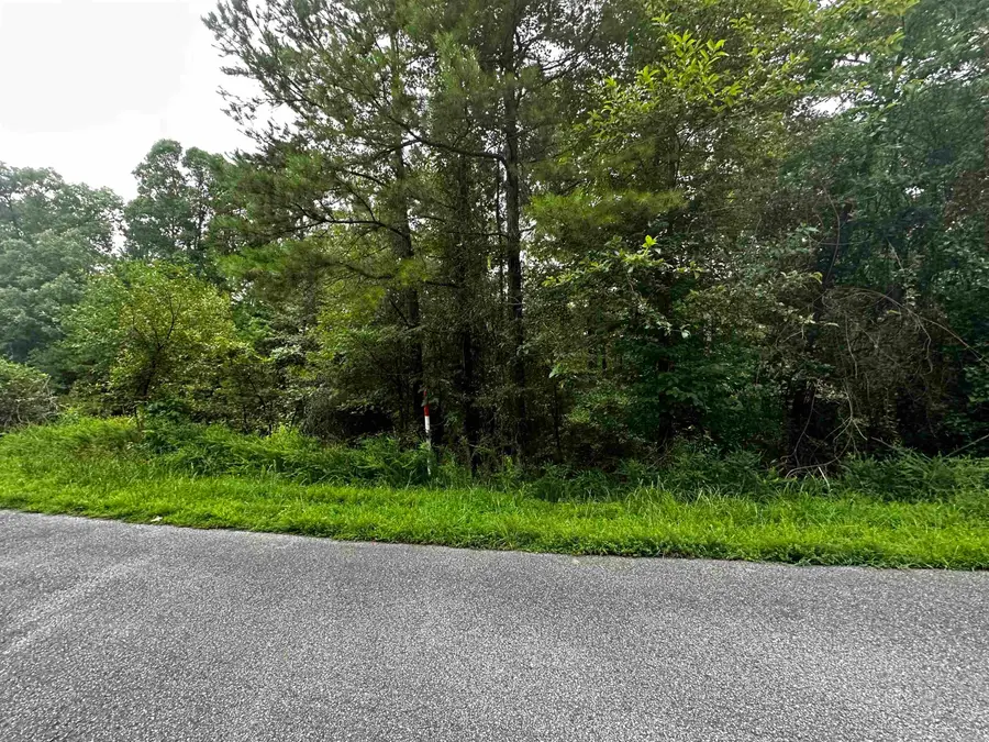 Lot 66 Cobalt Bay Drive, Shirley, AR 72153 - #3