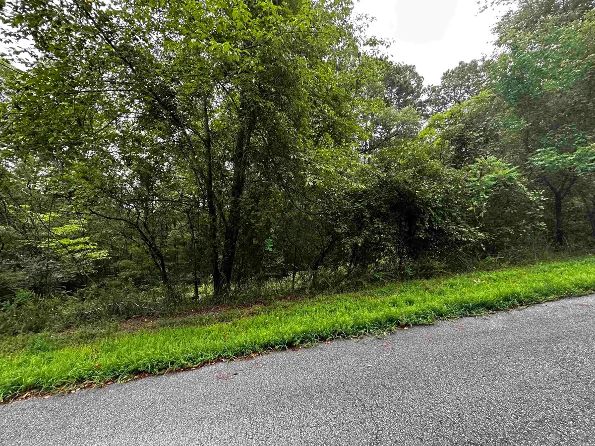 Lot 67 Cobalt Bay Drive, Shirley, AR 72153 - #1
