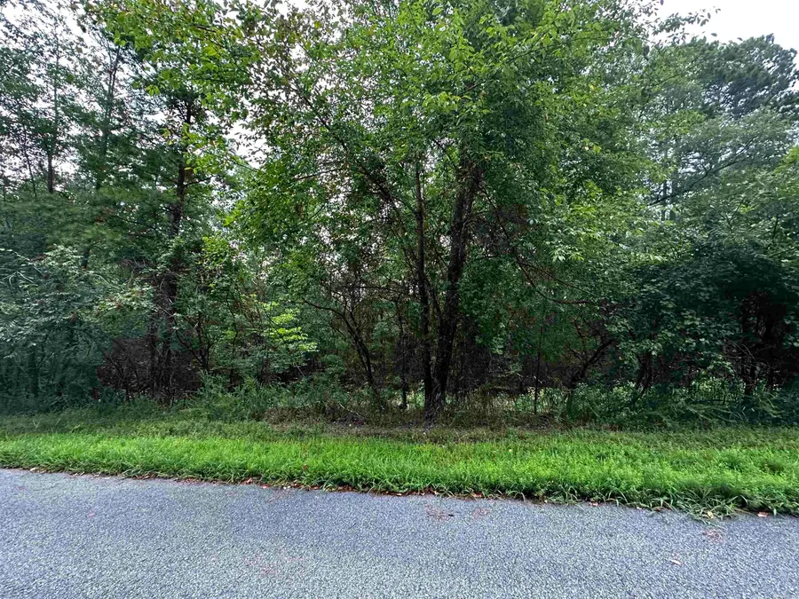 Lot 67 Cobalt Bay Drive, Shirley, AR 72153 - #2