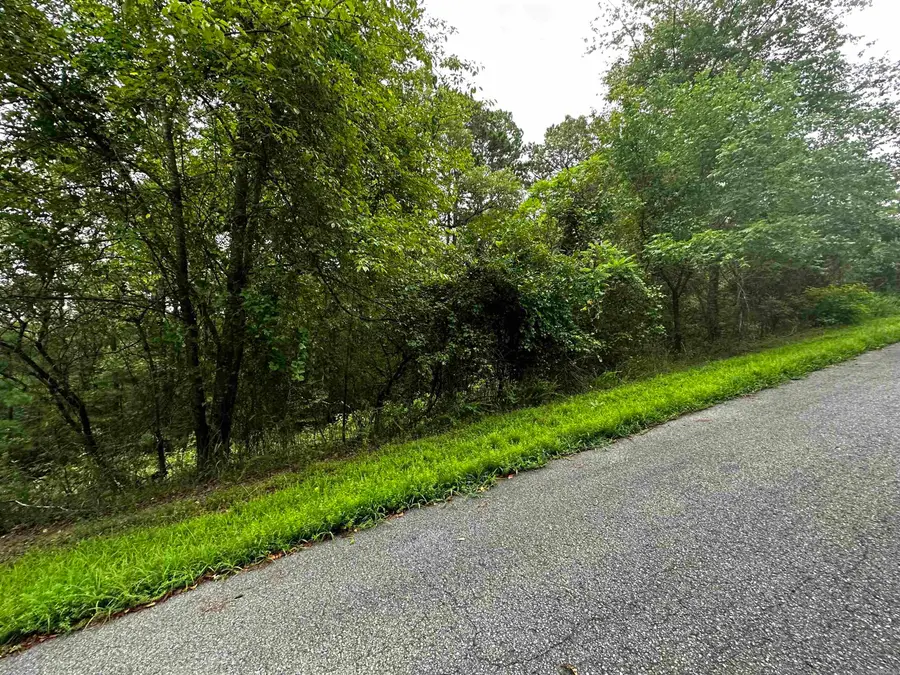 Lot 67 Cobalt Bay Drive, Shirley, AR 72153 - #3