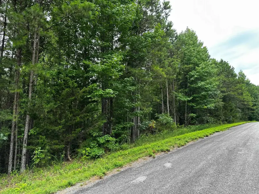 Lot 107 Cobalt Bay Drive, Shirley, AR 72153 - #2