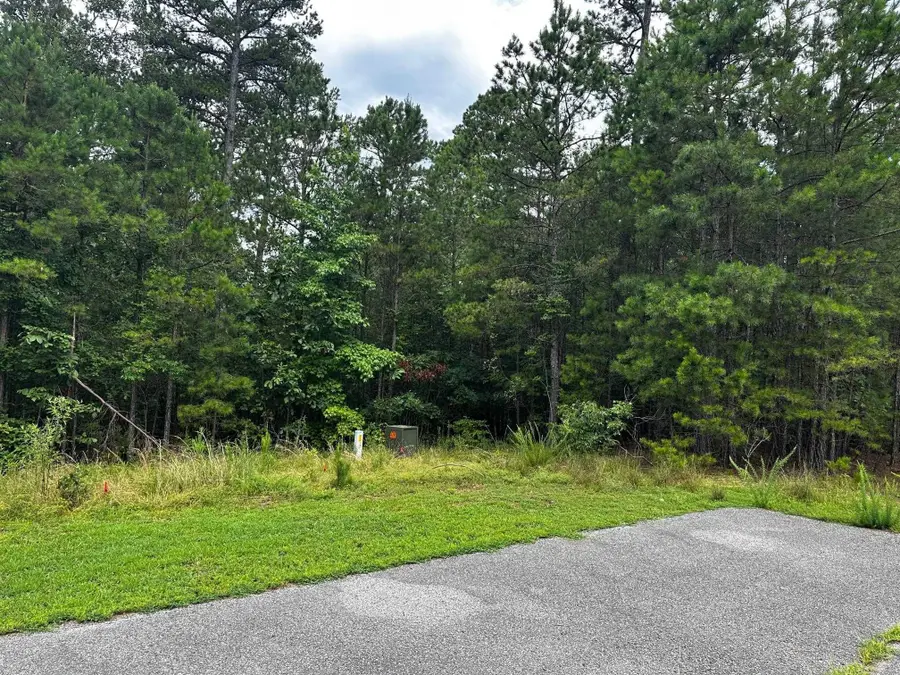 Lot 91 Cobalt Bay Drive, Shirley, AR 72153 - #3