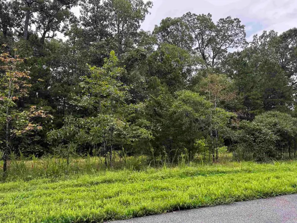 Lot 65 Cobalt Bay Drive, Shirley, AR 72153