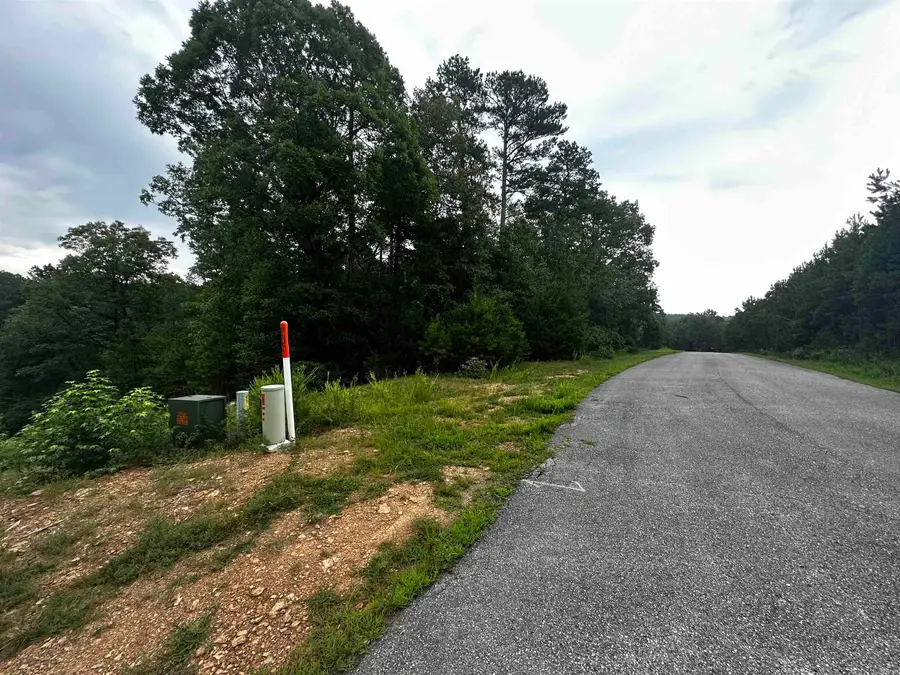 Lot 49 Cobalt Bay Drive, Shirley, AR 72153 - #2