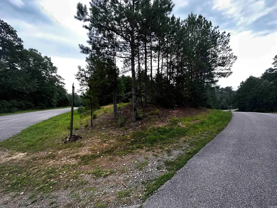 Lot 49 Cobalt Bay Drive, Shirley, AR 72153 - #3