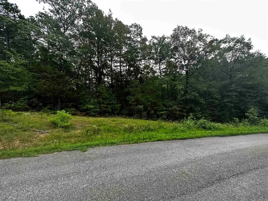 Lot 47 Cobalt Bay Drive, Shirley, AR 72153 - #2