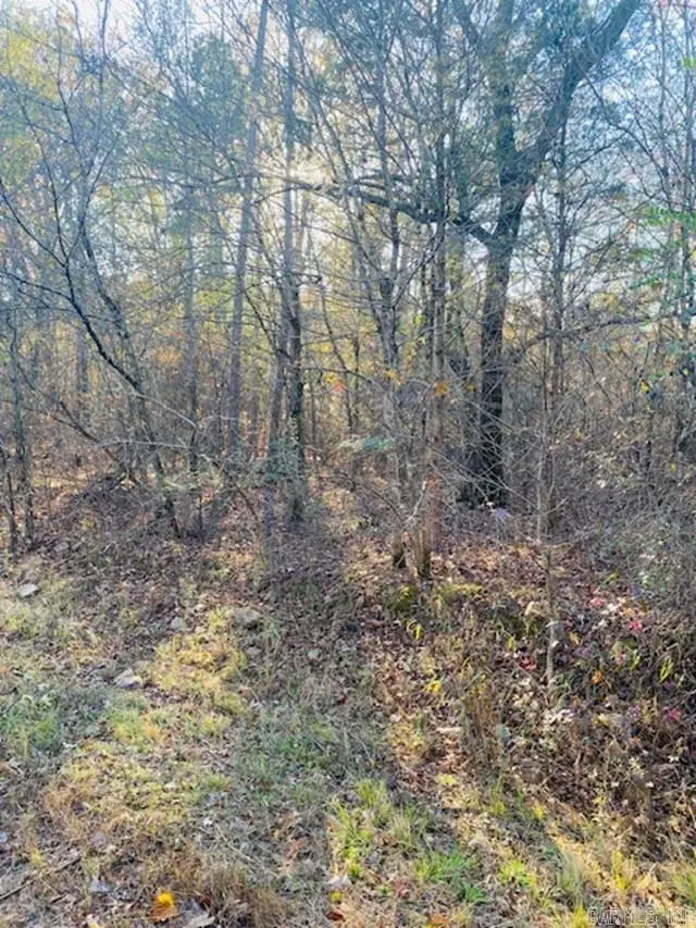 Unk Black Gum Lane, Mena, AR 71953 - #1