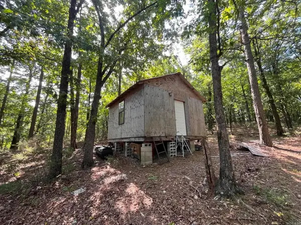 301 Chaparral Lane, Mena, AR 71953