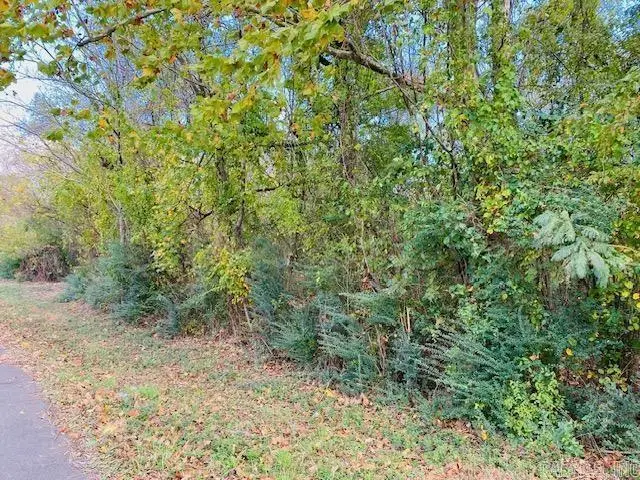 Unk Maple Street, Mena, AR 71953 - #1