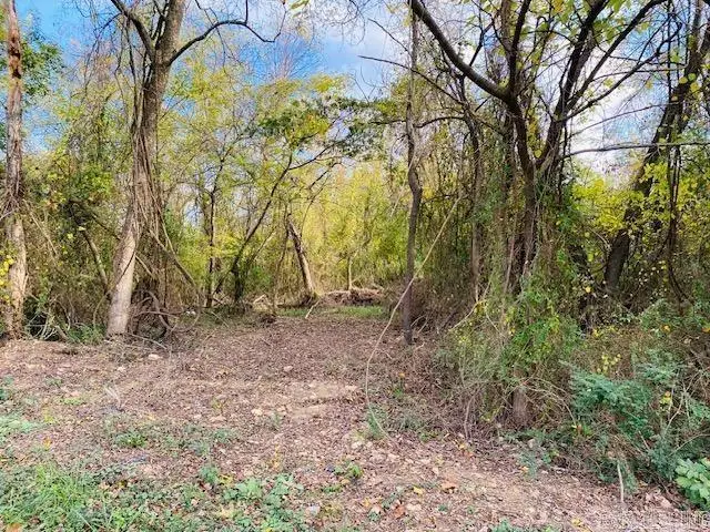 Unk Maple Street, Mena, AR 71953 - #2