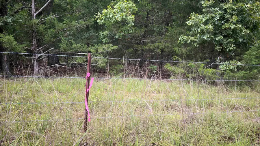 00 E Cricket Road, Cabot, AR 72023 - #2