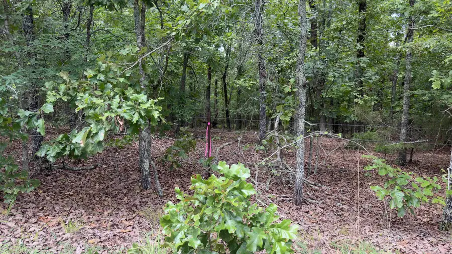 00 E Cricket Road, Cabot, AR 72023 - #3