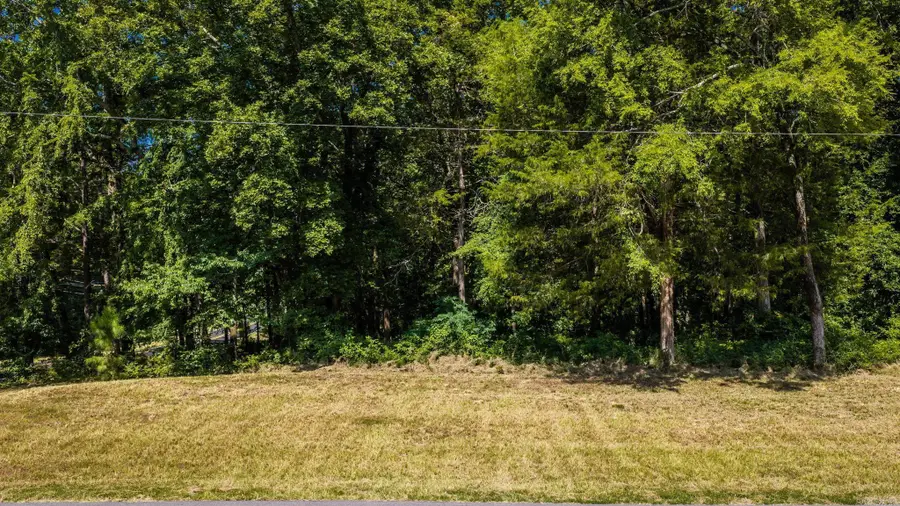 32 West Park Drive, Heber Springs, AR 72543 - #3