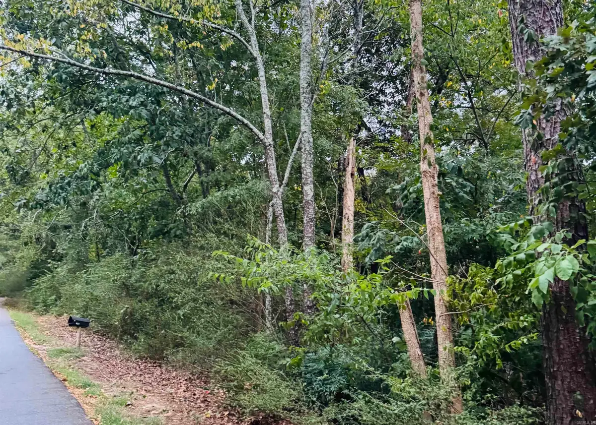 lot 23,24.25,26 Lee Summit Dr, Little Rock, AR 72202 - #1
