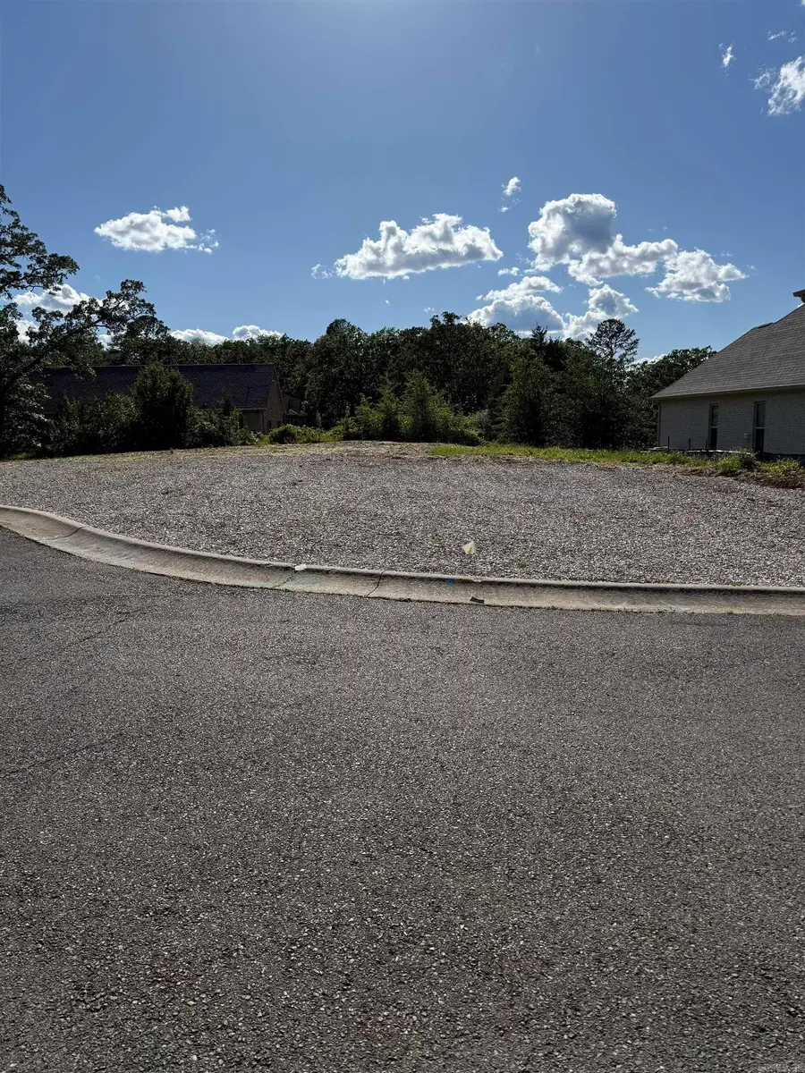 Lot 8 Damian Ct, Hot Springs, AR 71901 - #3
